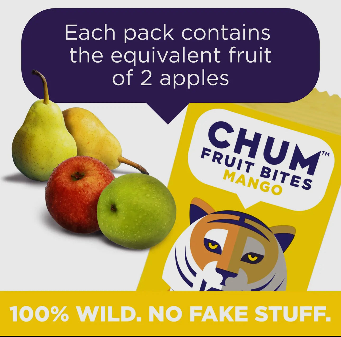 CHUM Fruit Bites- Mango