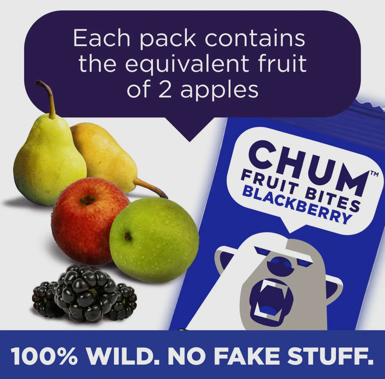 CHUM Fruit Bites- Blackberry