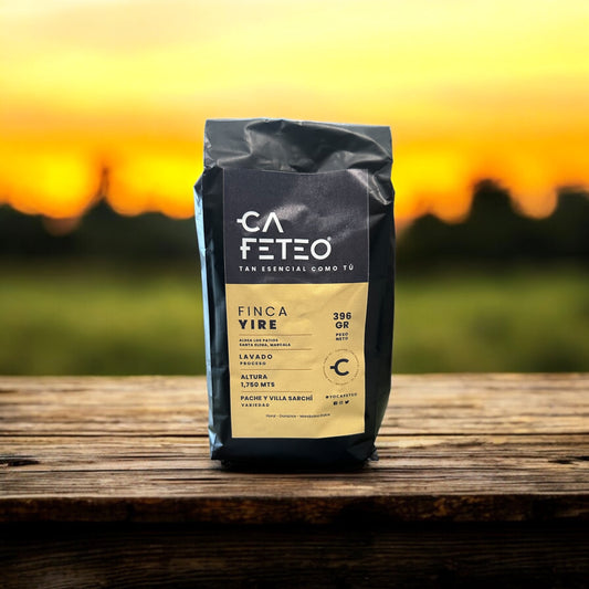 Cafeteo Honduran Coffee- Pache y Villa Sarchí 396GR